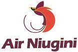 Industry Aviation Air Niugini 2 image